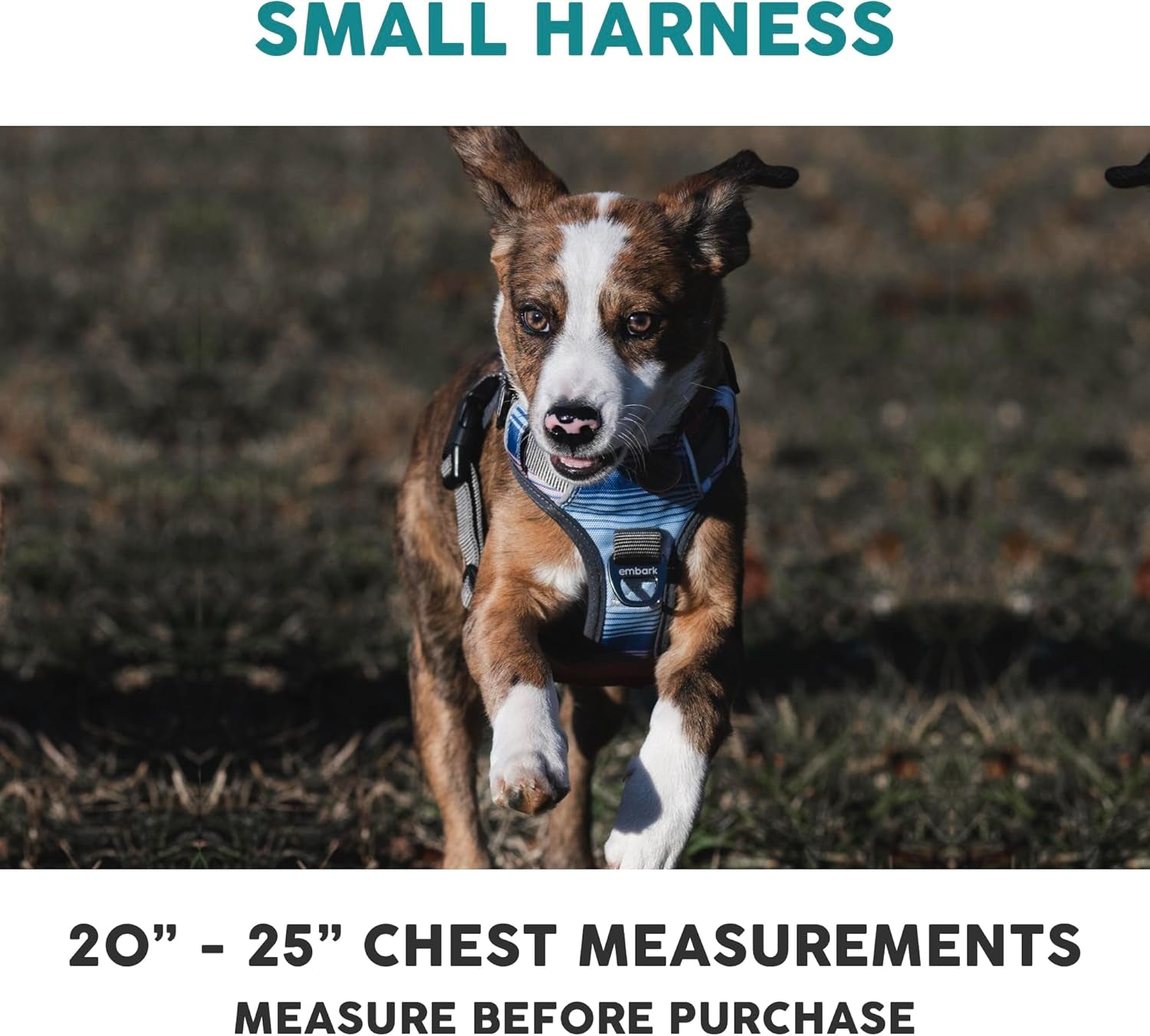 Embark Reflective No-Pull Harness for Small Dogs