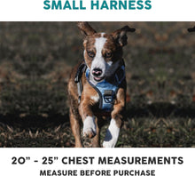 Embark Reflective No-Pull Harness for Small Dogs