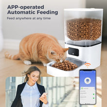 Automatic Cat Feeder,  Wifi Pet Feeder with APP Control for Cat/Dog, 6L Smart Cat Food Dispenser, Dog Feeder with Timed Feeding