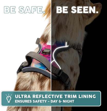Embark Reflective No-Pull Harness for Small Dogs