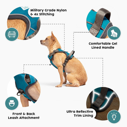 Embark XL No-Pull Dog Harness With Reflective Trim