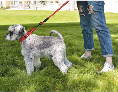 2-Pack Reflective Martingale Dog Collars with Safety Buckle