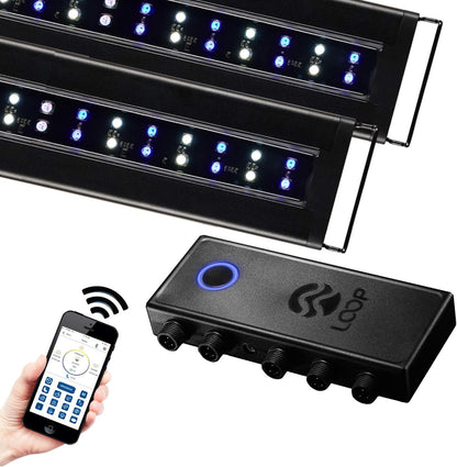 USA Dual 72" Inch Orbit Marine PRO IC Loop LED Saltwater Reef Marine Aquarium Light with Bluetooth App Control | Wireless Lighting & Eflux Wave Pump Control for Fish Tank (4338)