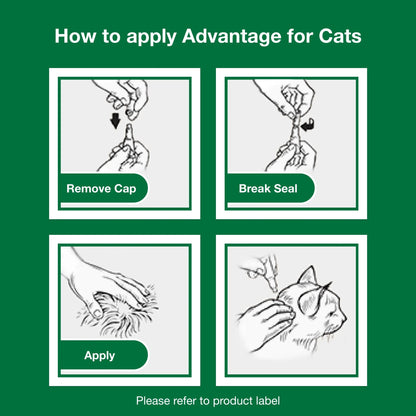 Topical Flea Treatment & Prevention for Large Cats over 9 Lbs. (2 Count)