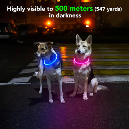 Rechargeable Waterproof LED Dog Collar for Night Visibility (Pink)