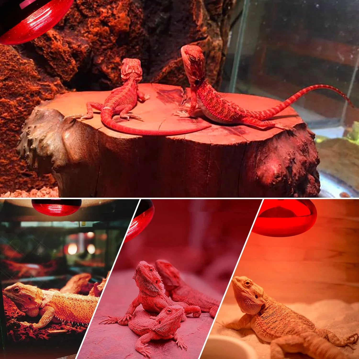 Reptile Heat Lamp 100W, 2Pcs E26 Basking Spot Light, Infrared Heat Lamp, Red