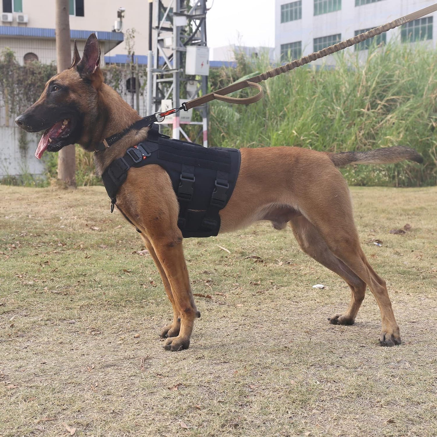 ICEFANG XL Tactical No-Pull Dog Harness with MOLLE Handle