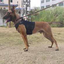 ICEFANG XL Tactical No-Pull Dog Harness with MOLLE Handle