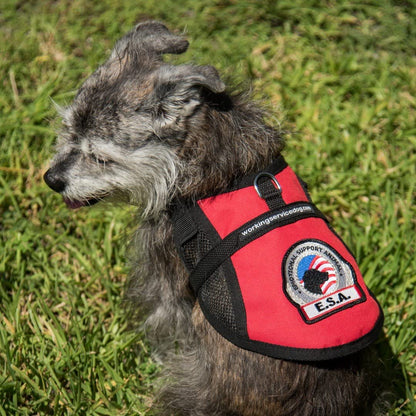 Breathable ESA Dog Vest Harness With Cooling Mesh Panel