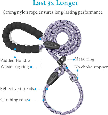 Lavender Slip Lead Dog Leash 1/2" x 6 FT