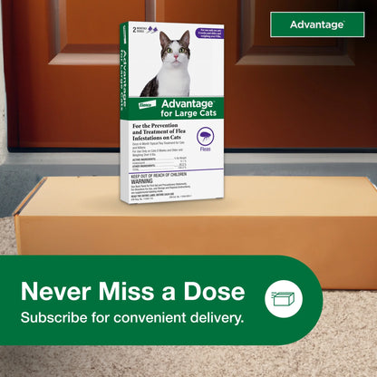 Topical Flea Treatment & Prevention for Large Cats over 9 Lbs. (2 Count)