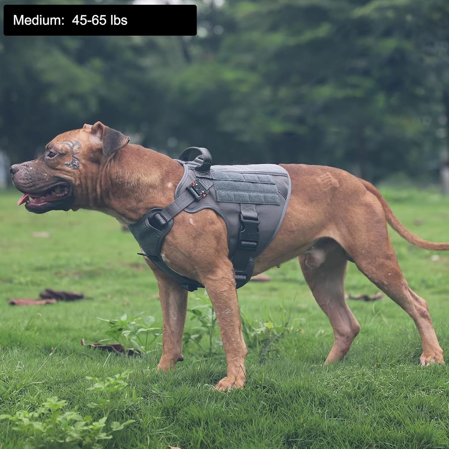 ICEFANG Tactical No-Pull Dog Harness with MOLLE & Handle