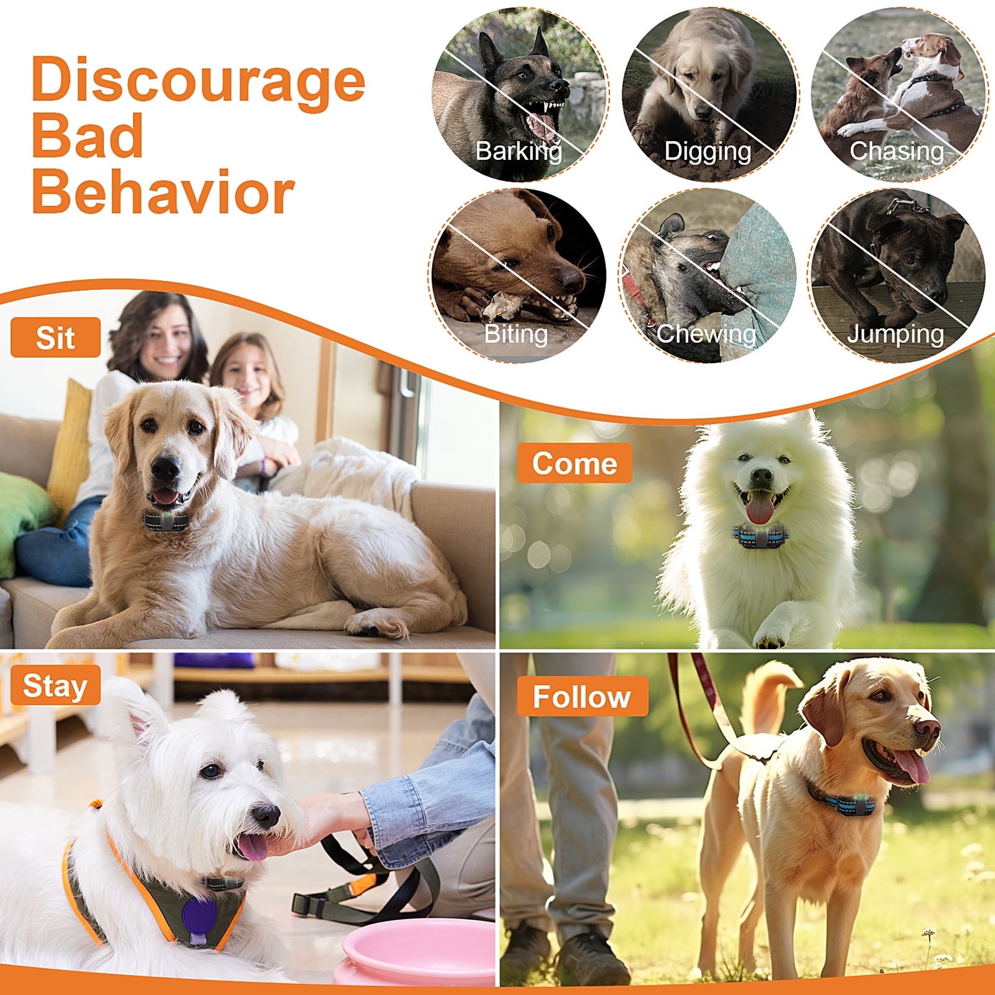 Dog Shock Collar with Remote, Waterproof Rechargeable Dog Training Collar for Small Medium Large Dogs, Electronic Collar with Sound, Vibration, and Electric Shock