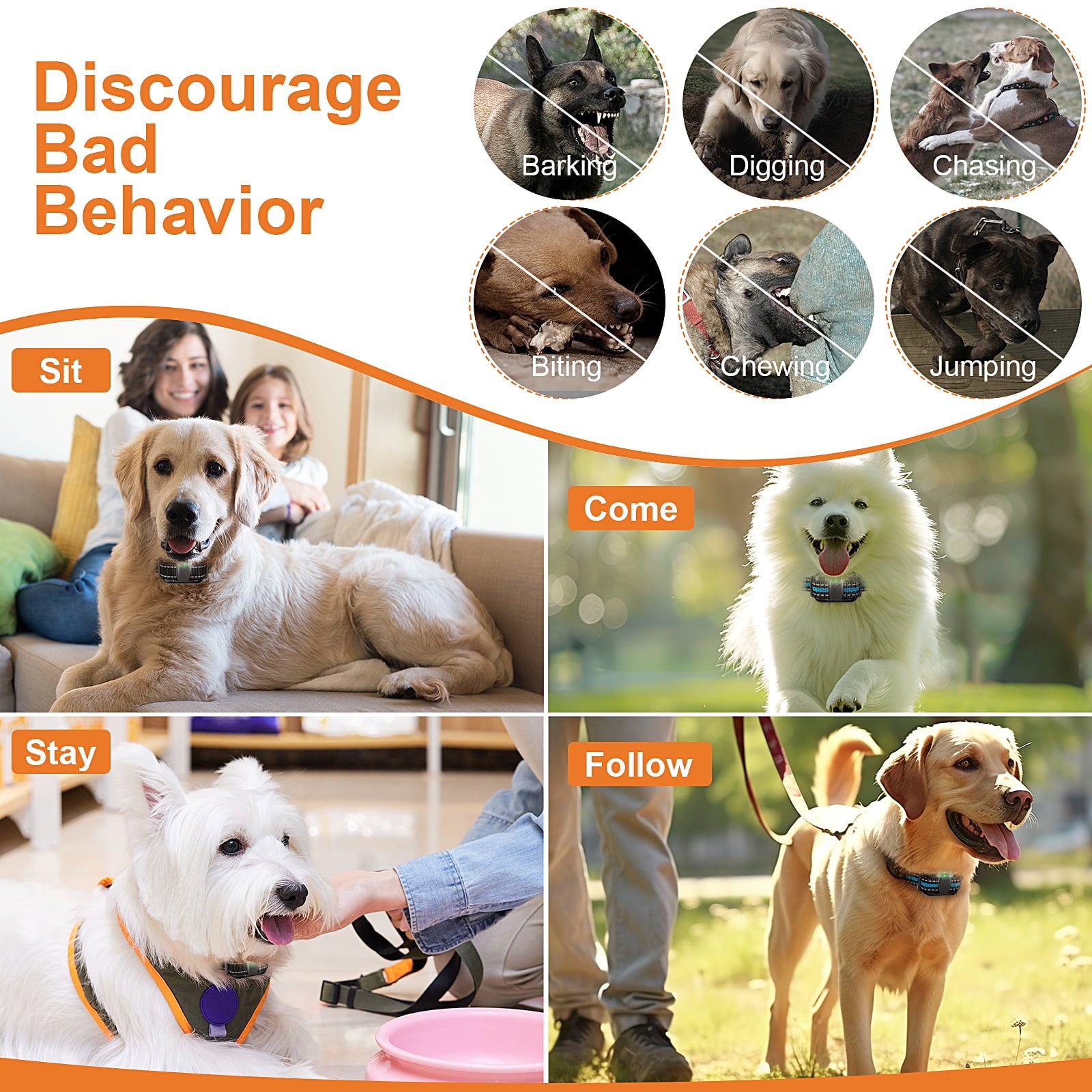 Dog Shock Collar with Remote, Waterproof Rechargeable Dog Training Collar for Small Medium Large Dogs, Electronic Collar with Sound, Vibration, and Electric Shock