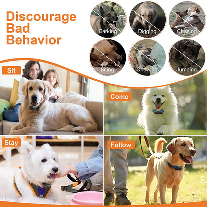 Dog Shock Collar with Remote, Waterproof Rechargeable Dog Training Collar for Small Medium Large Dogs, Electronic Collar with Sound, Vibration, and Electric Shock