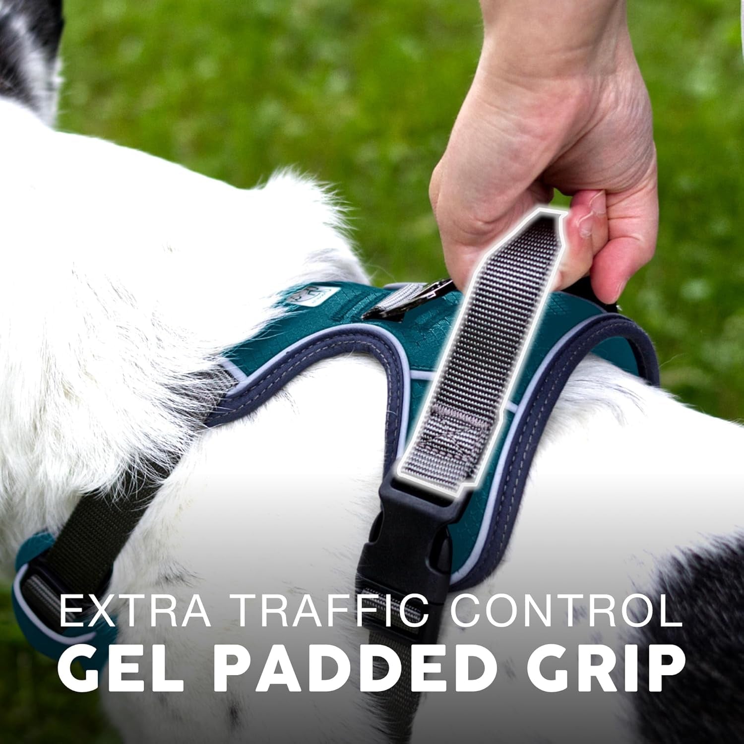 Embark XL No-Pull Dog Harness With Reflective Trim