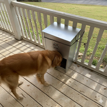 Chew-Proof 50 lb Automatic Dog Feeder with Pest Guard