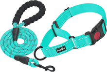 2-Pack Reflective Martingale Dog Collars with Safety Buckle