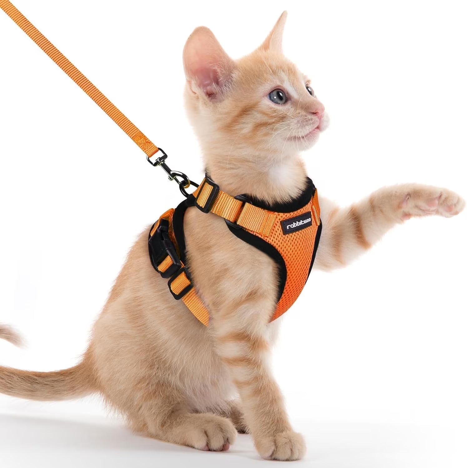 Cat Harness and Leash for Walking, Escape Proof Soft Adjustable Vest Harnesses for Cats, Easy Control Breathable Reflective Strips Jacket, Orange