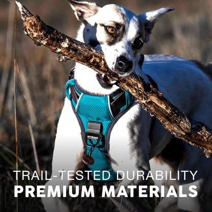 Embark XL No-Pull Dog Harness With Reflective Trim