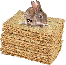 Grass Mat for Rabbit Bunny Chew Toys Woven Bed Mat for Guinea Pig Chinchilla Squirrel Hamster Cat Dog and Small Animal (12PCS Grass Mat)