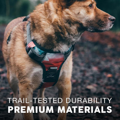 Embark Reflective No-Pull Harness for Small Dogs